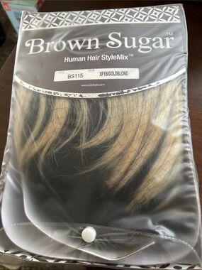 Human Hair StyleMix Clip-In Extensions - Black & Gold Blonde